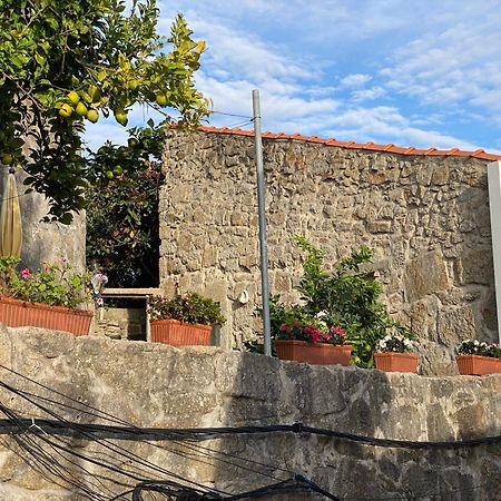Casa Dona Olga River View ポルト エクステリア 写真