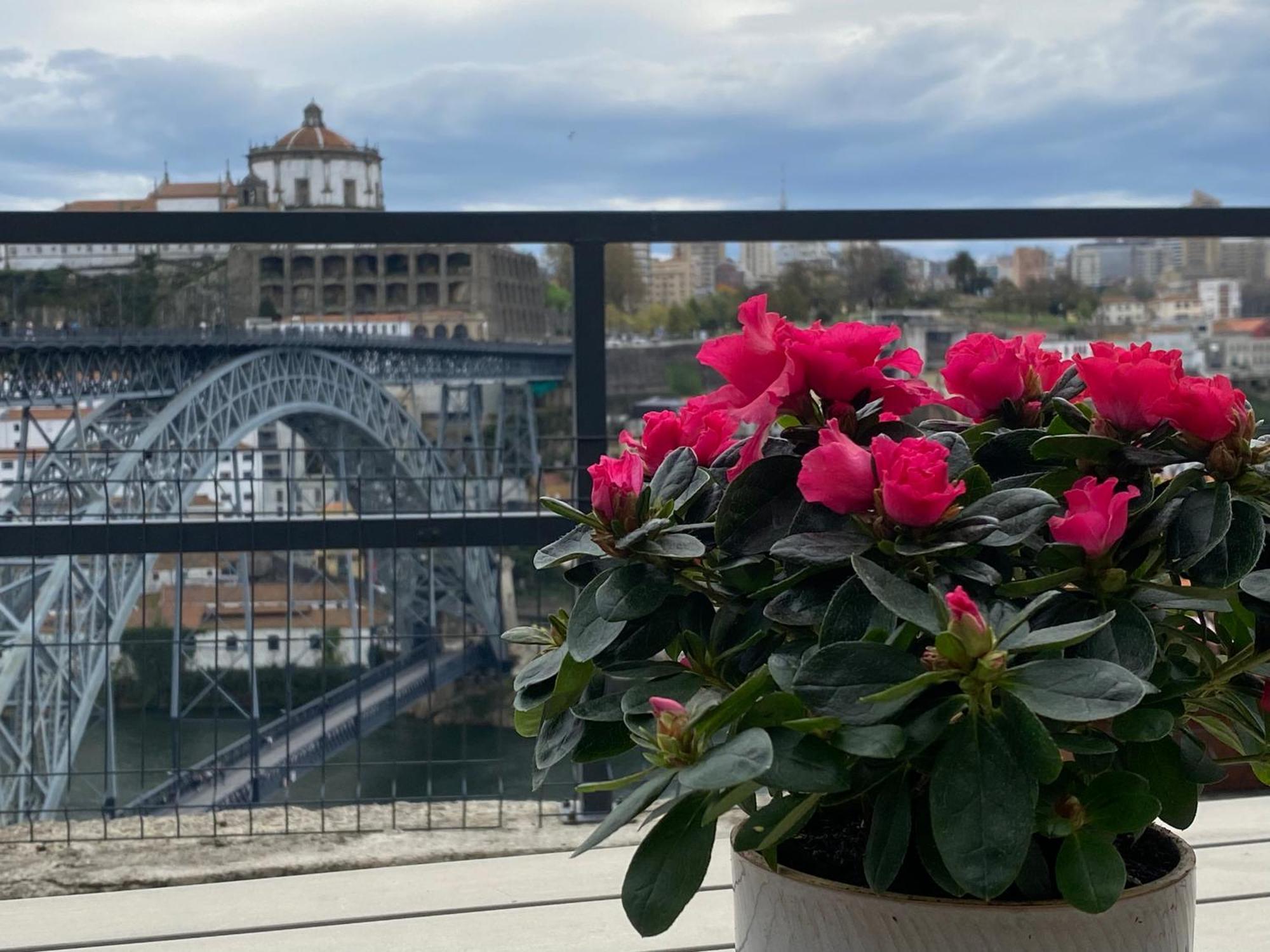 Casa Dona Olga River View ポルト エクステリア 写真